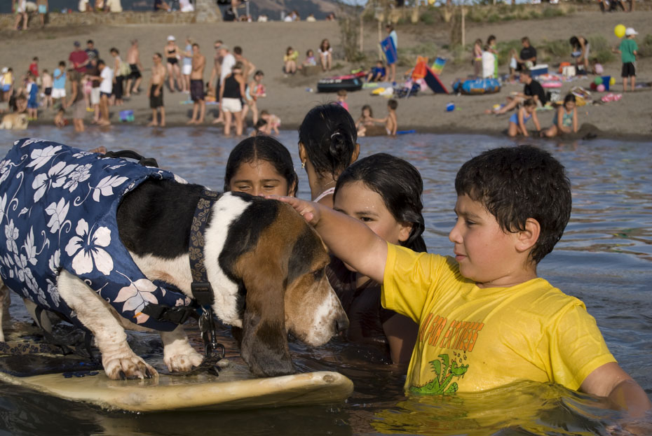 Summertime, 2008