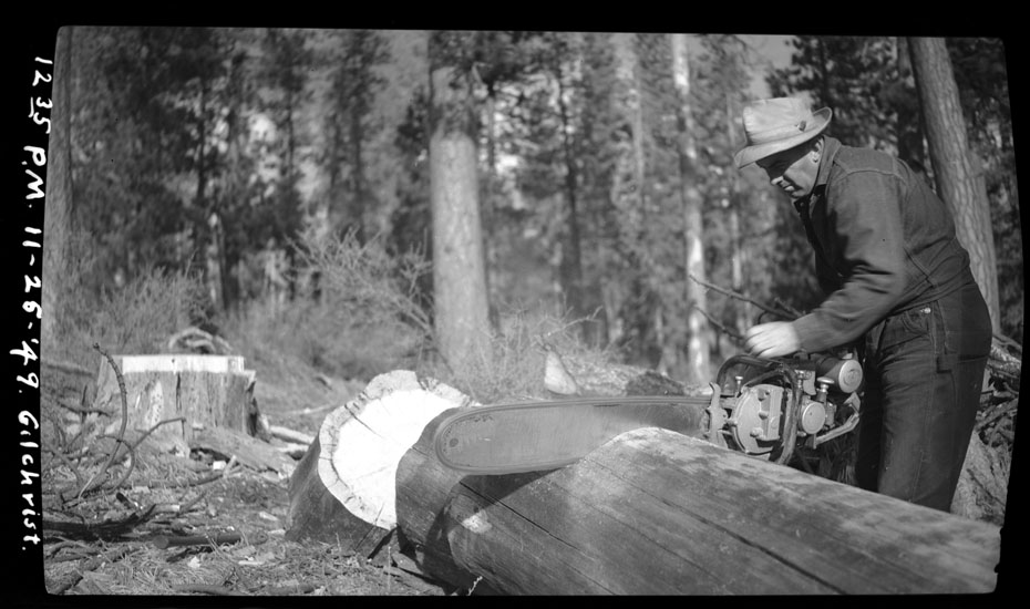 Cutting firewood, November 1949