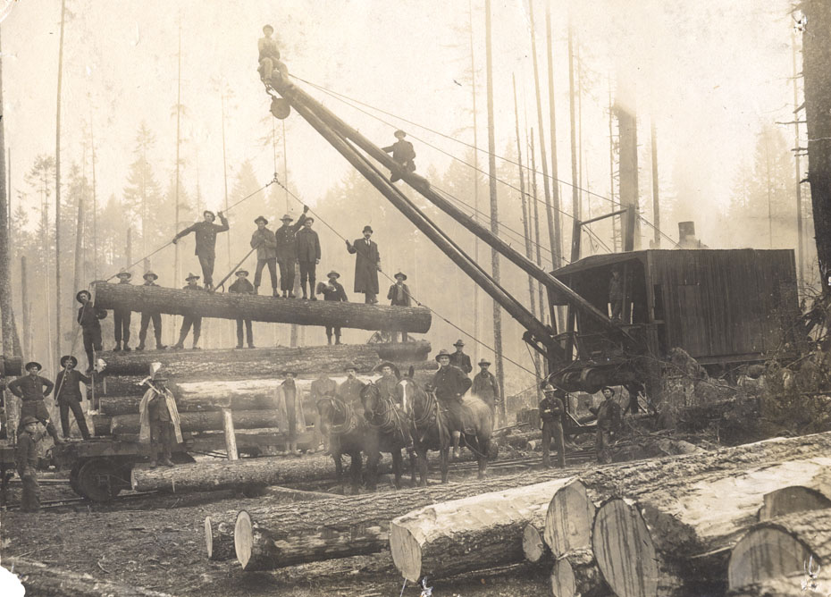 Loading Logs Near Dee
