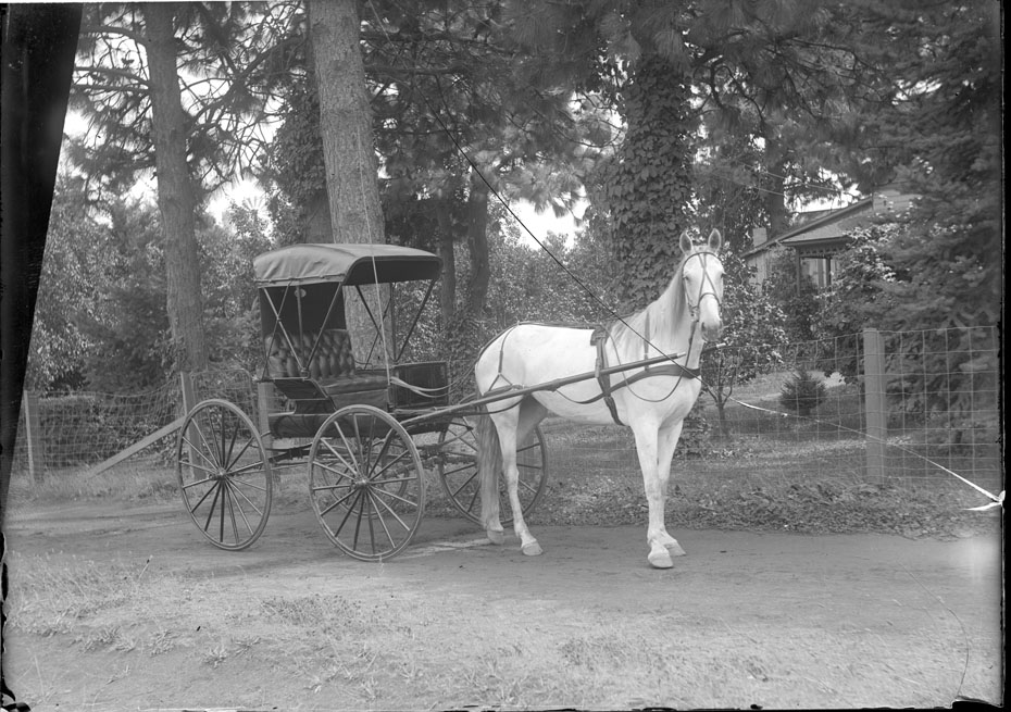 Horse and Buggy Remix