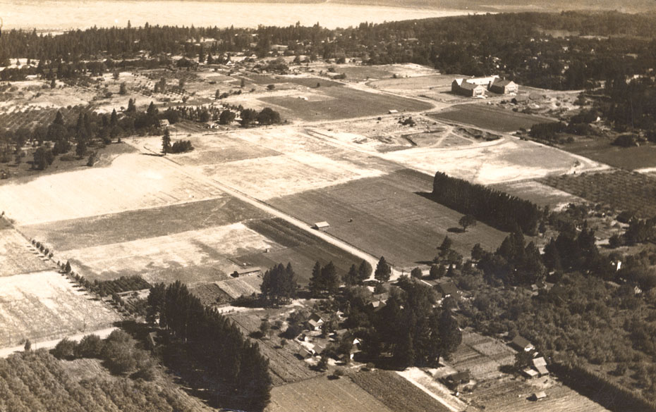 Aerial View of the West Side