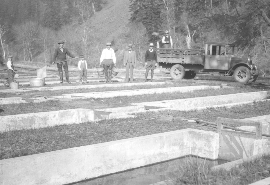 Fish Stocking, 1933