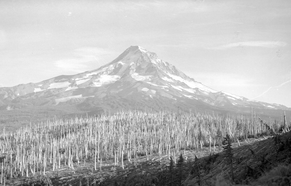 Red Hill, 1952