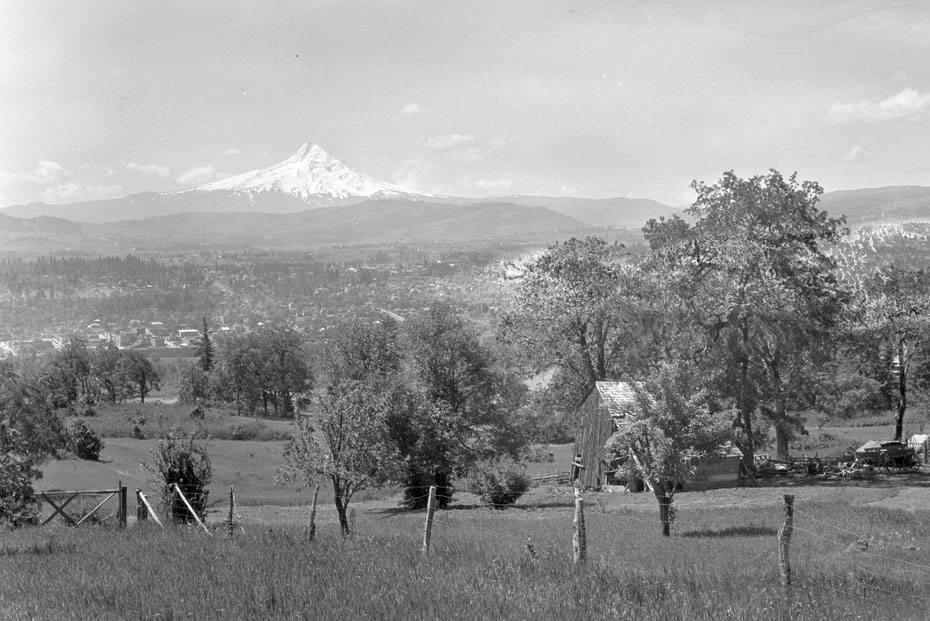 View From the Bluff