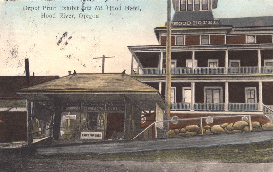 Depot Fruit Exhibit Postcard