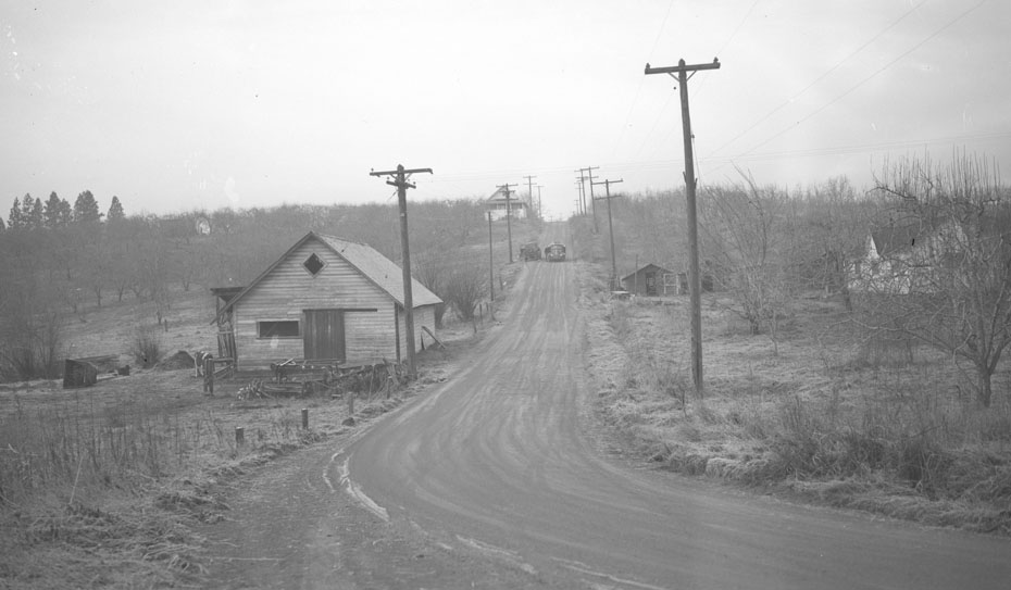 Grey January Day