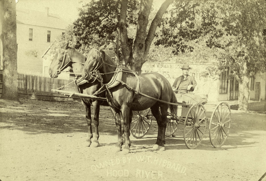 W.T. Hibbard