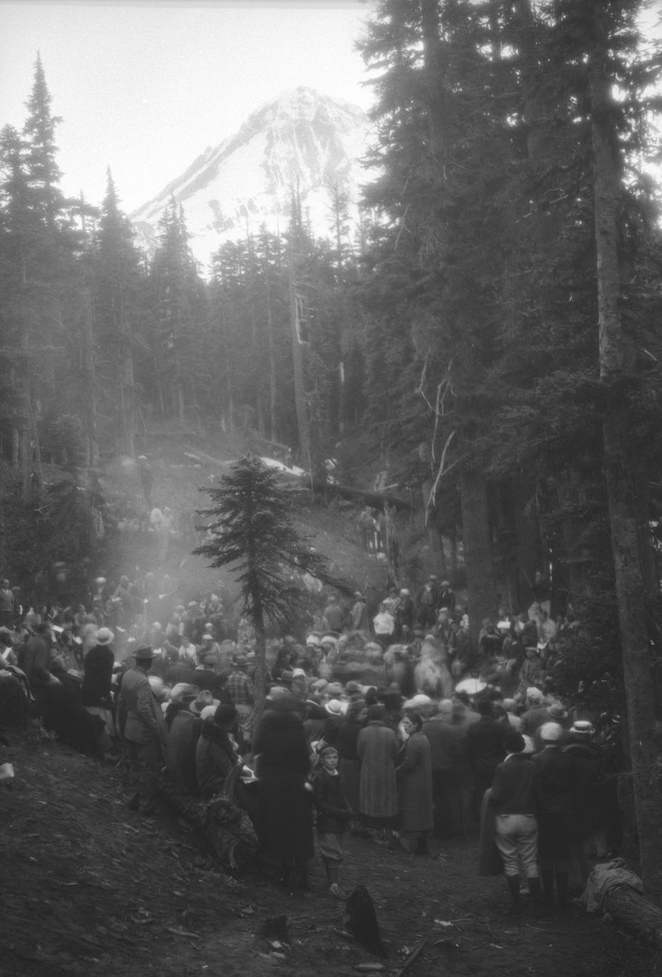 Gathering in the Woods