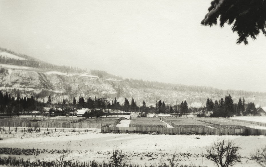 Mt. Hood Ranch