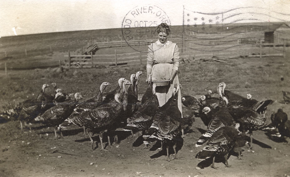 Rebecca’s Turkeys, 1911