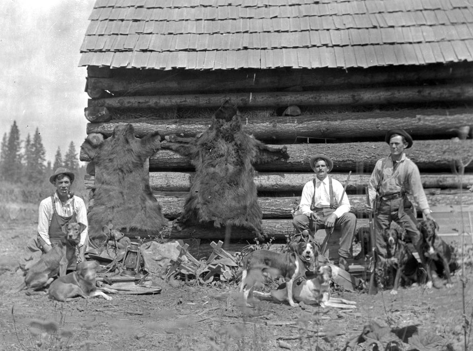 Bear Hunters Revisited