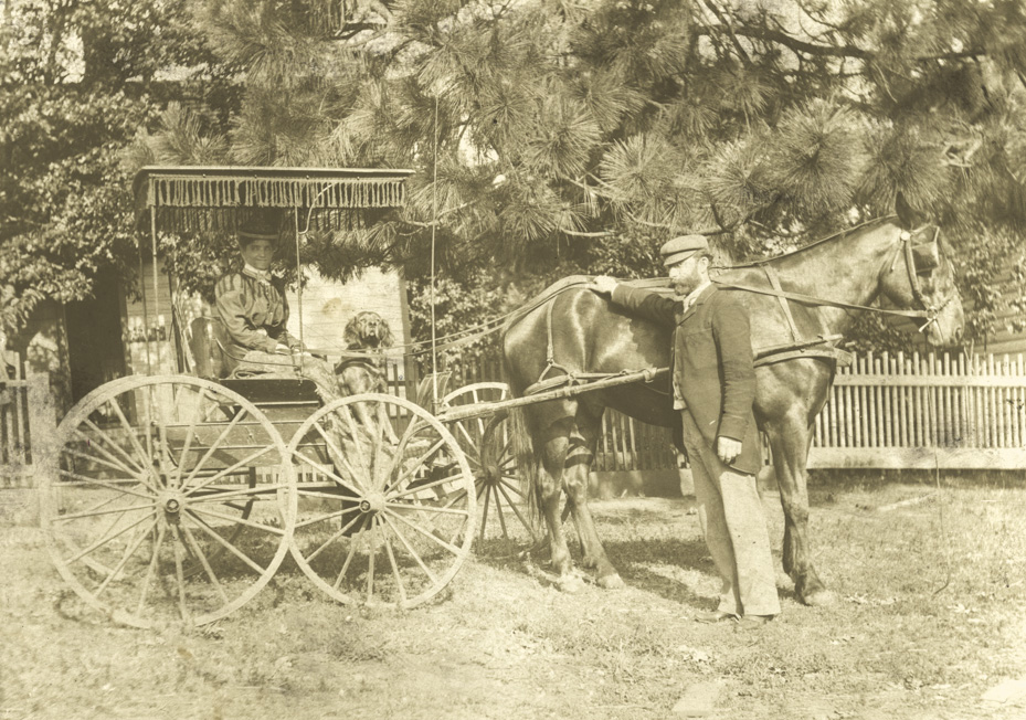 Dr. and Mrs. M.F. Shaw