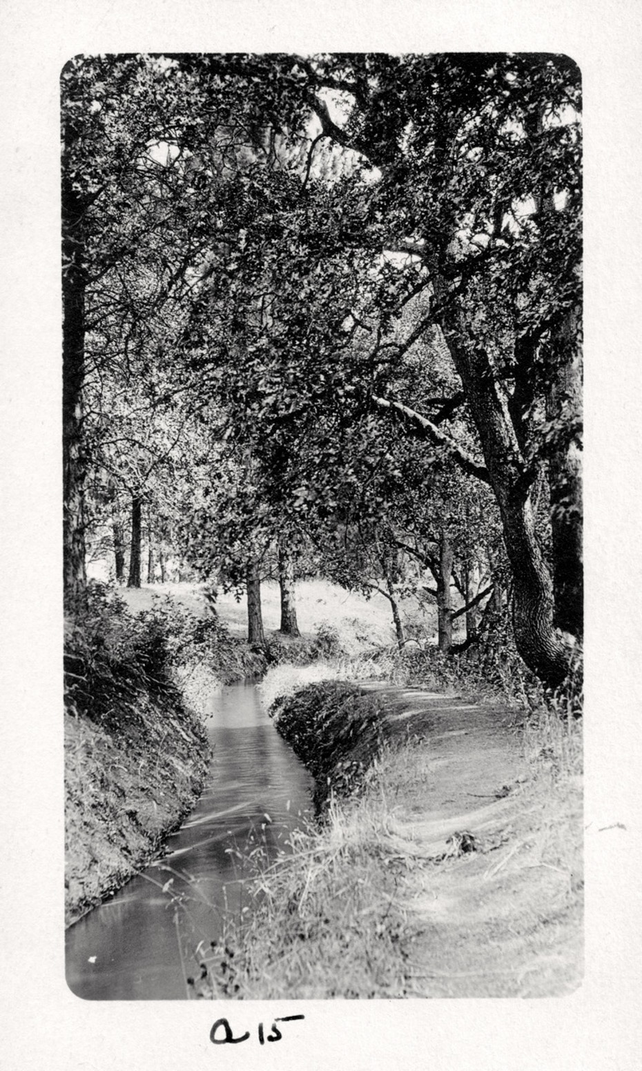 Irrigation Ditch