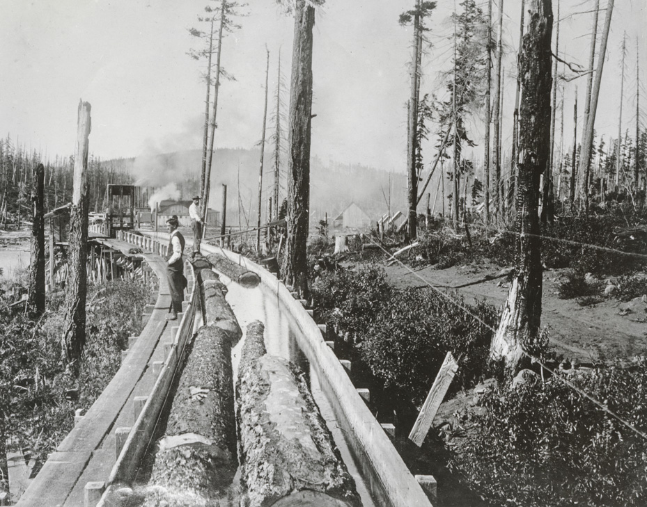 Stanley Smith Lumber Co. Greenpoint Mill