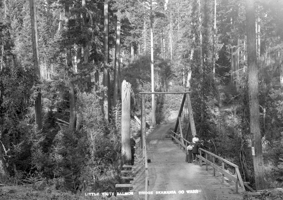 Bridge Over the Little White Salmon