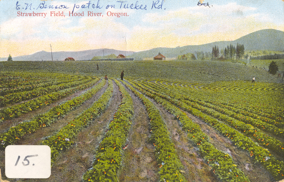 Postcard Week