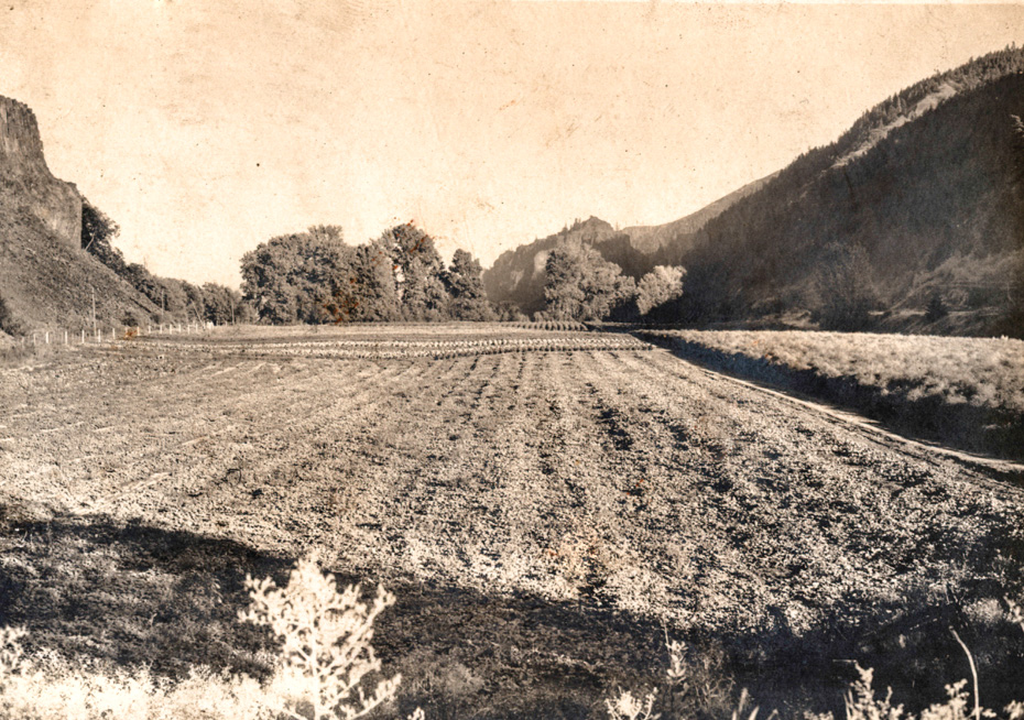 20th Century Truck Farm