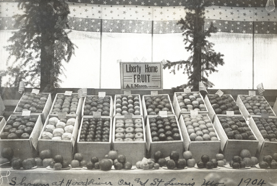 Fruit Display