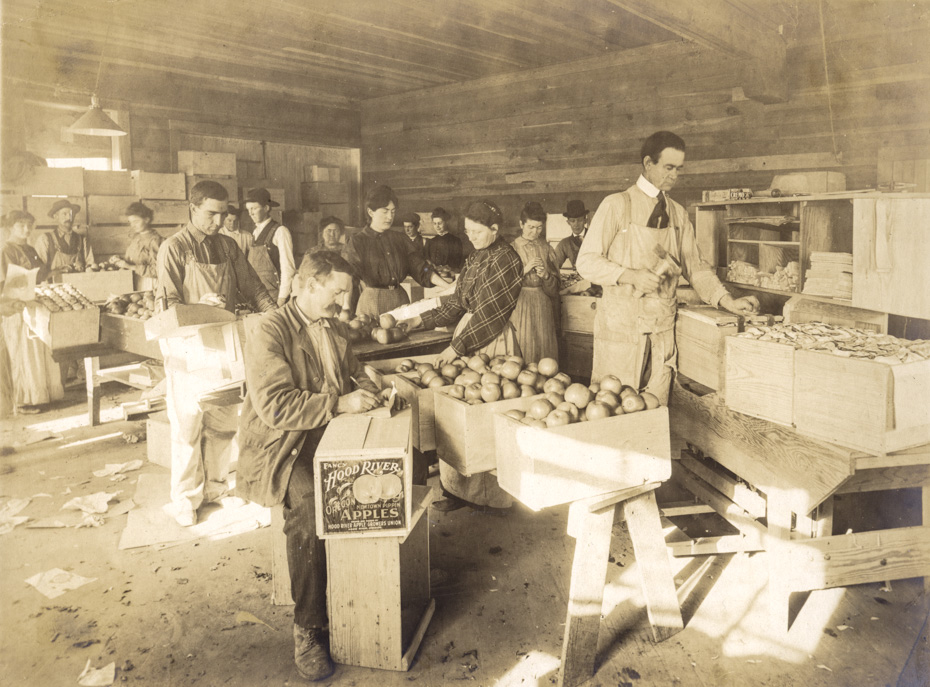 Pay Day at the Packing House