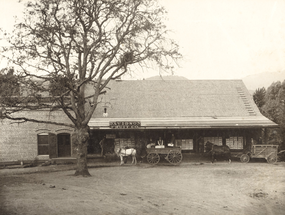 Davidson Fruit Company