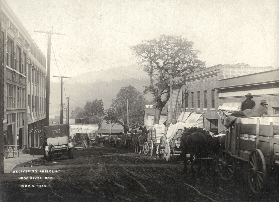 Delivering Apples at Hood River Ore.