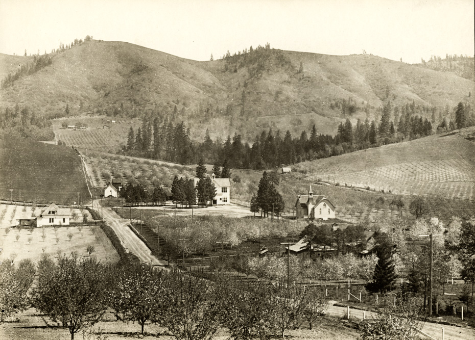 Pine Grove