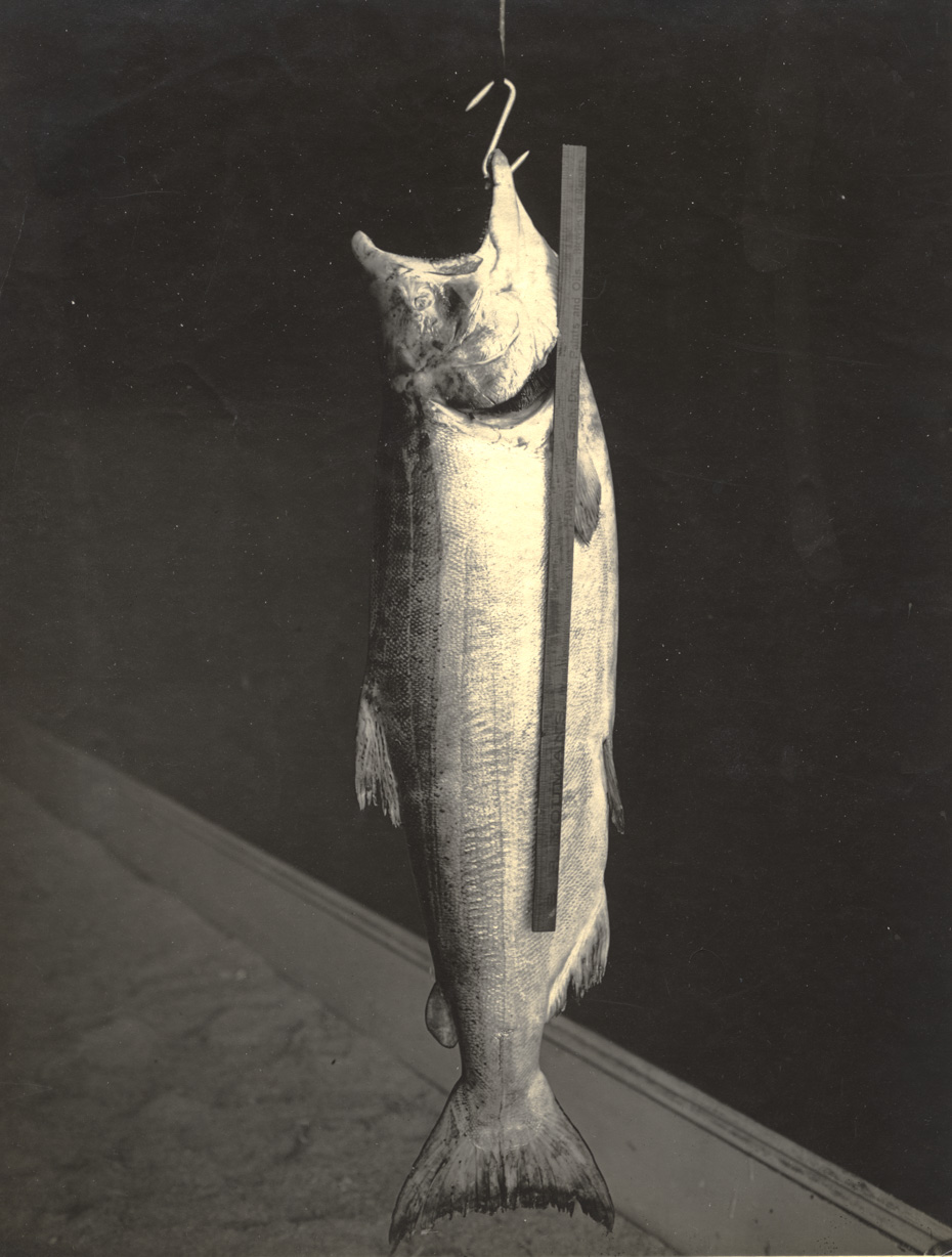 Fish Story, Circa 1905