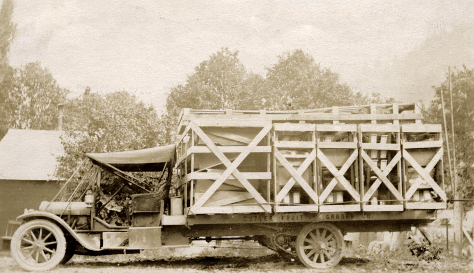 Cutler Fruit Grader