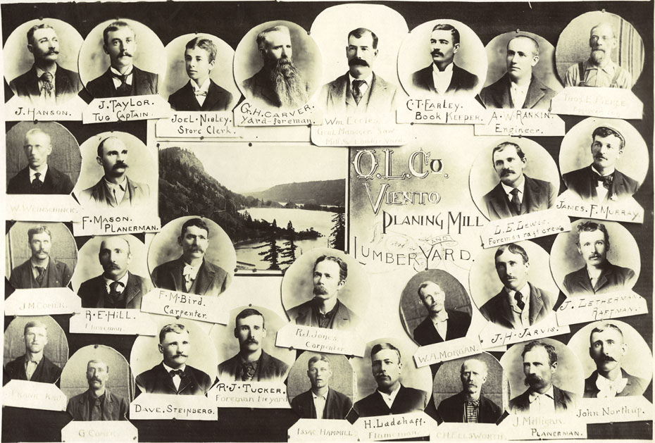 Oregon Lumber Company Viento Staff