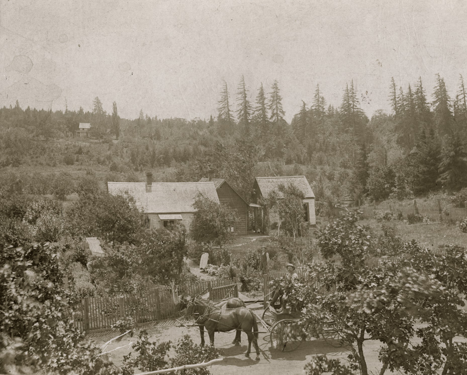 Calkins Farm