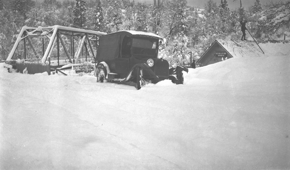 Tucker Bridge Plant