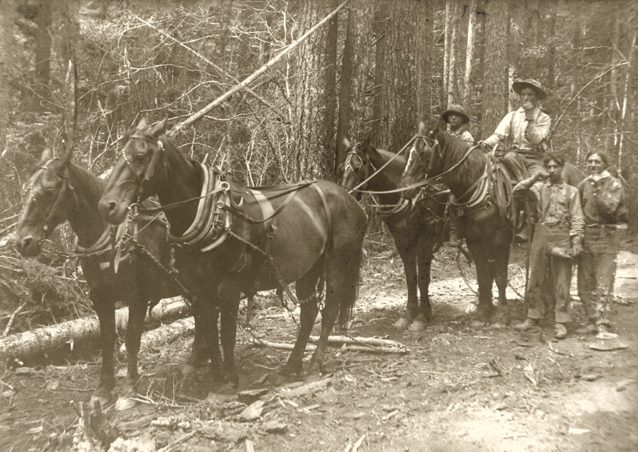 Loggers