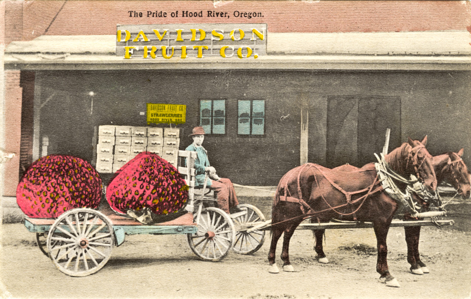 Strawberry Shipment