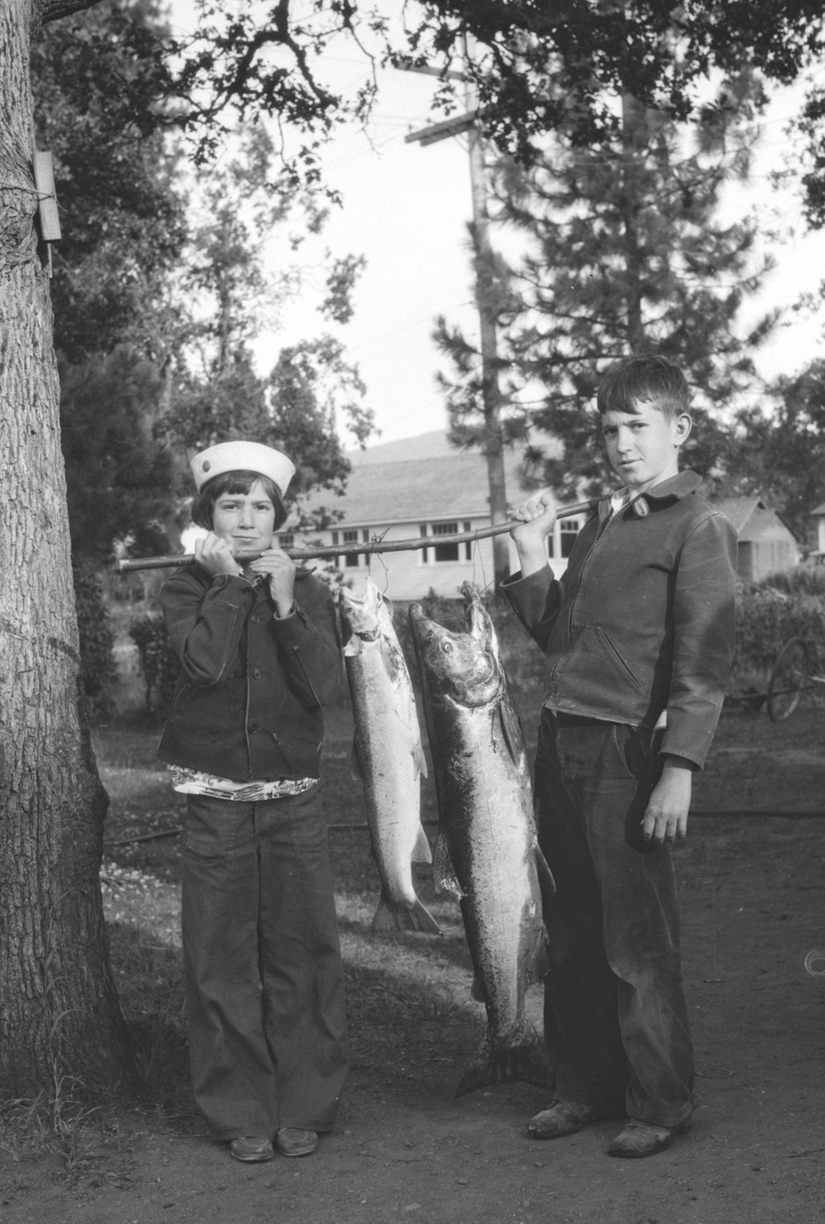 Steelhead and Chinook