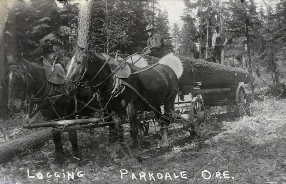 Logging Parkdale