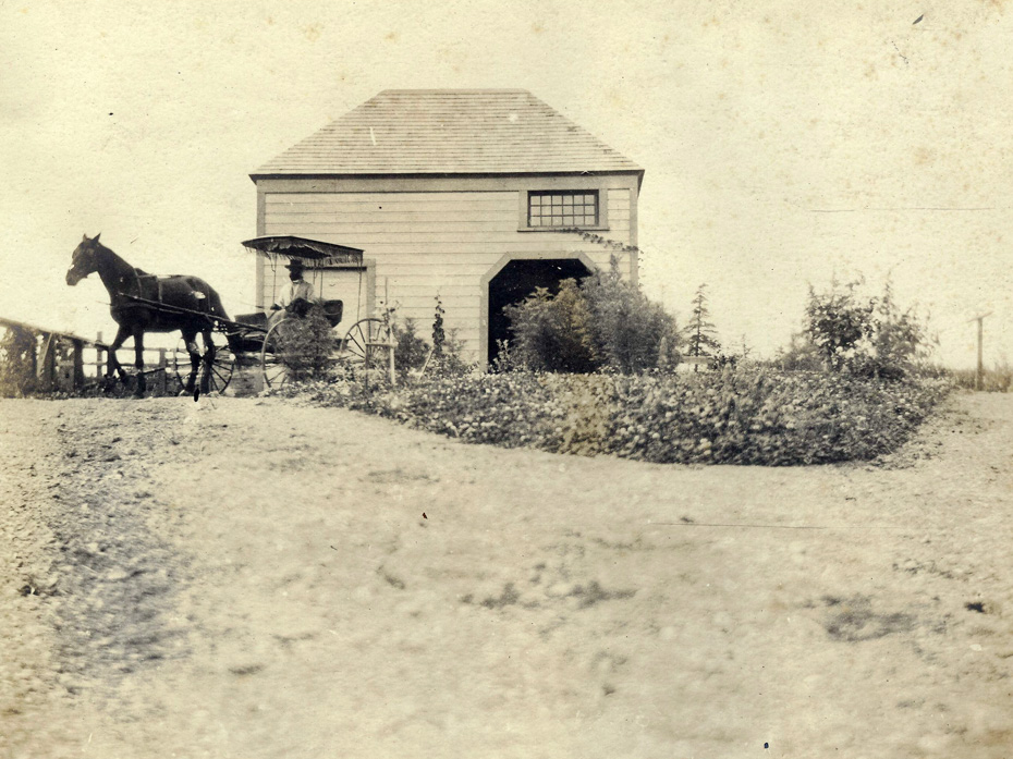 Dr. Shaw’s Carriage