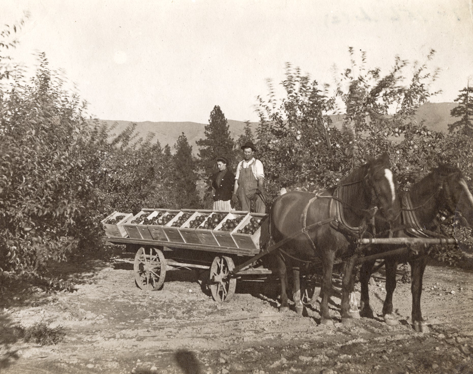 Two Horsepower
