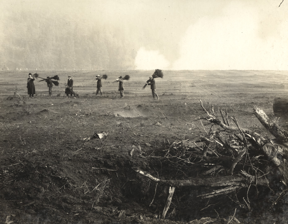 Clearing the Land?