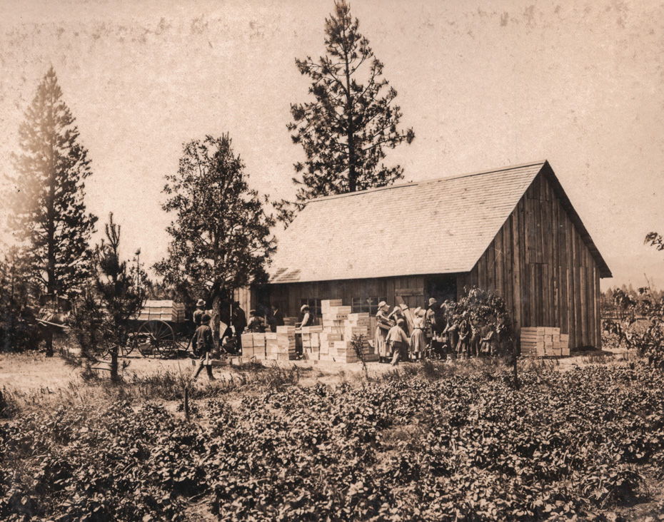 Packing House