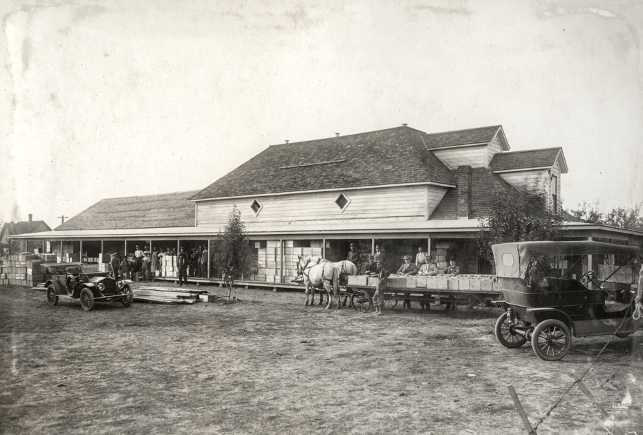 Mystery Packing House