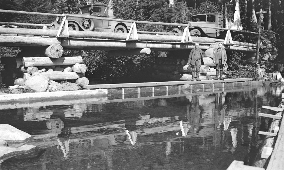 Testing the Bridge