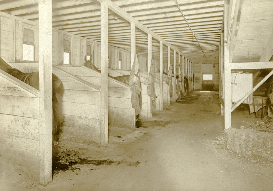 Horse Parking
