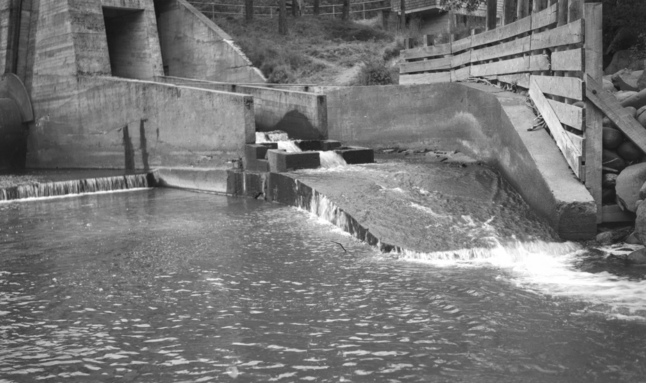 Powerdale Fish Ladder