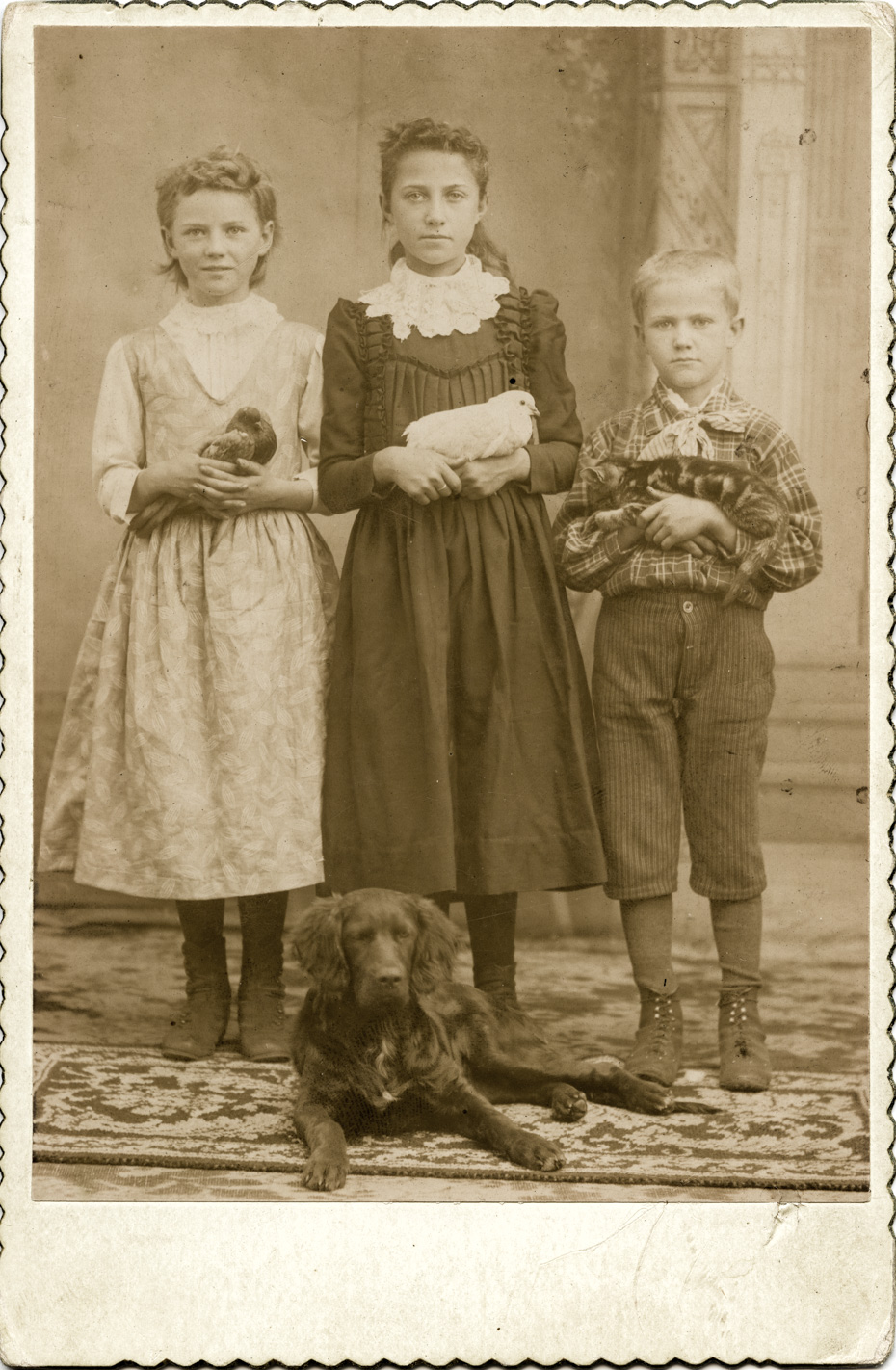 Cabinet Cards