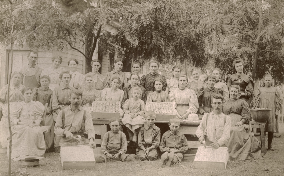 Packing Crew, Bill Taylor Farm