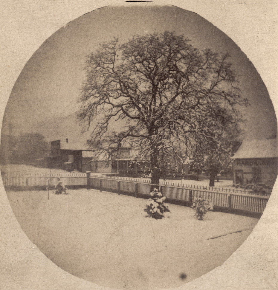 Early Winter Scene