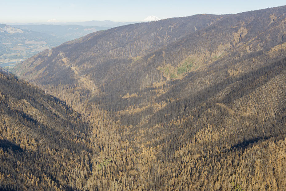 Tanner Creek