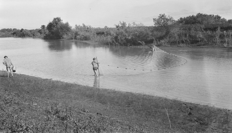 Casting a Wide Net