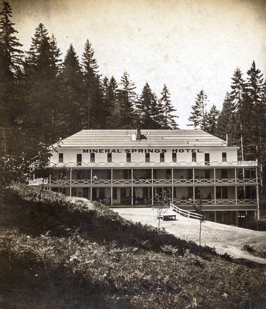 Mineral Springs Hotel