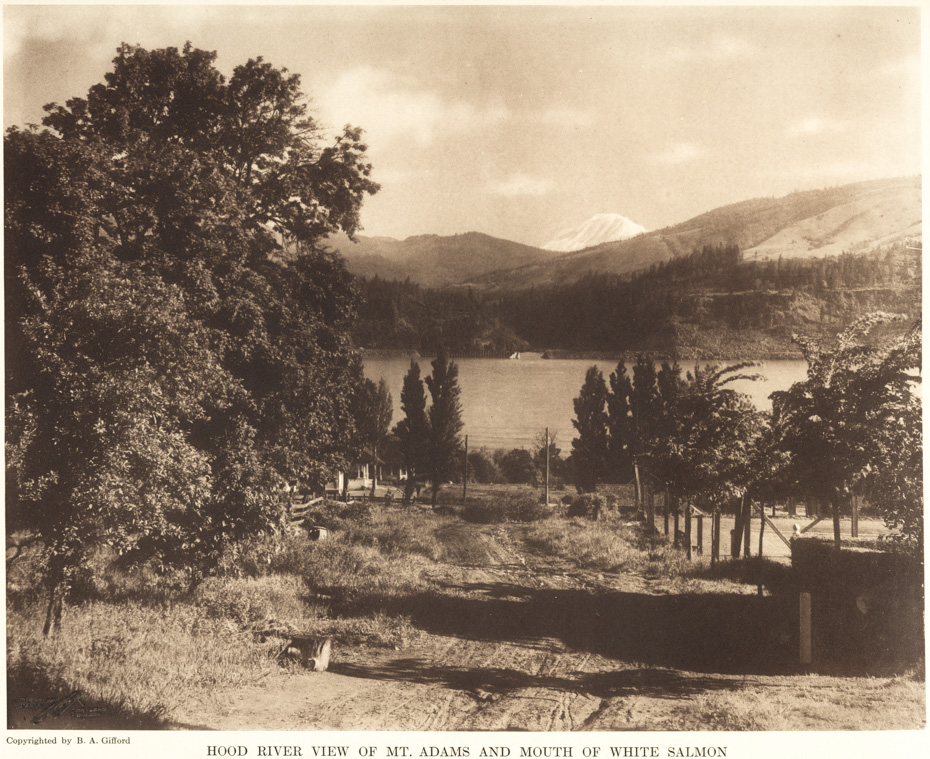 Hood River View